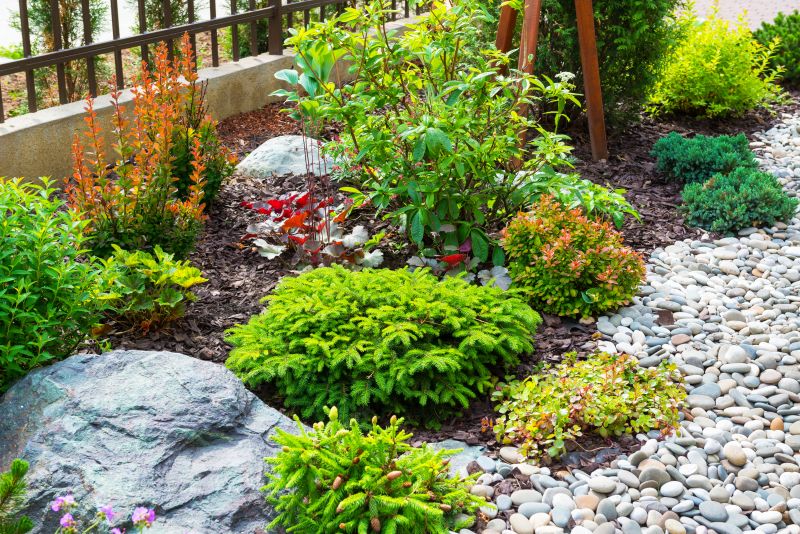 Boulder Landscaping
