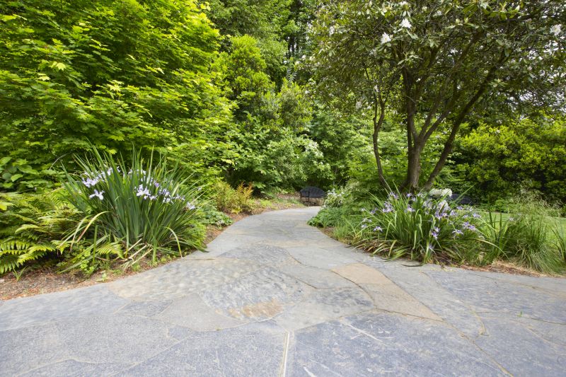 Landscaping with Pathways