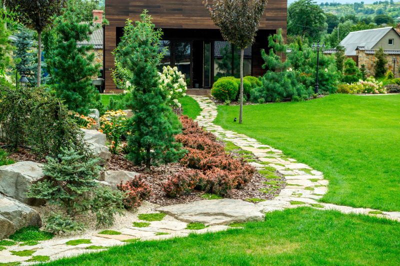 Stone Pathways and Patios