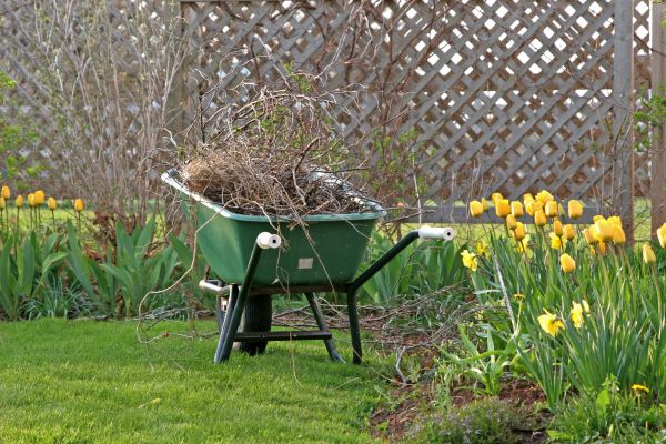 Flower Bed Cleanup Service in Carmel