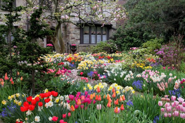 Garden Maintenance Service in Carmel