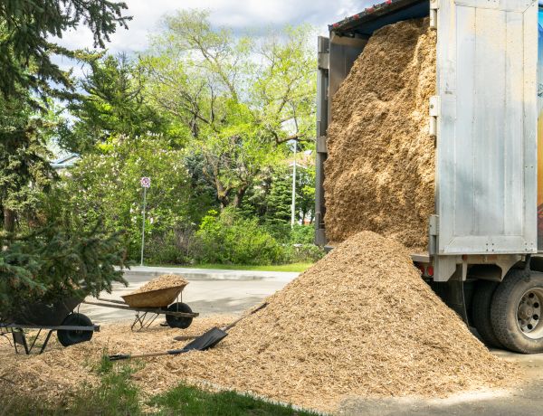 Wood Chips Delivery in Carmel
