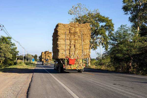 Pine Straw Delivery in Carmel