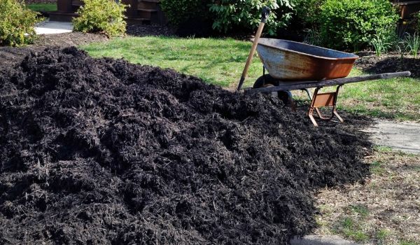 Black Mulch Delivery in Carmel