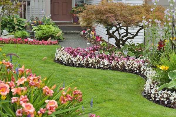 Perennial Landscaping in Carmel