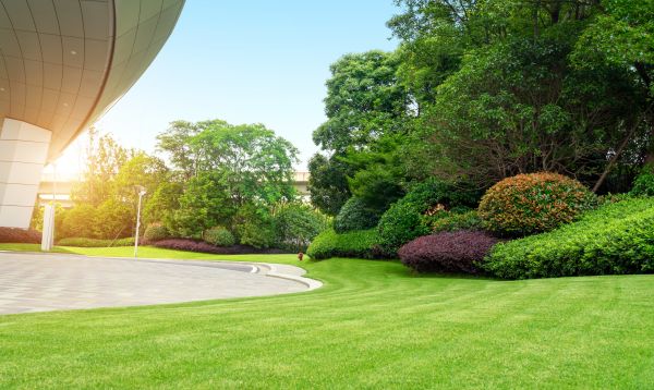 Business Landscape Design in Carmel