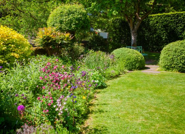 Yard Landscaping Service in Carmel