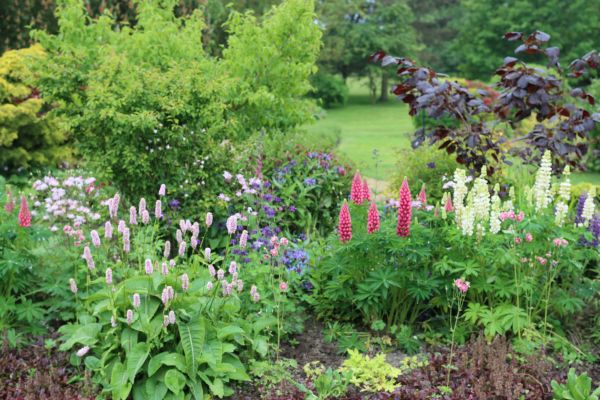Flower Bed Planting in Carmel