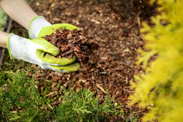 Garden Mulch Delivery in Carmel