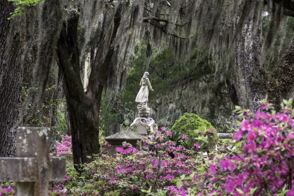 Cemetery Landscaping in Carmel