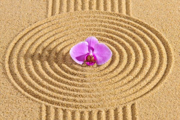 Sand Garden Landscaping in Carmel