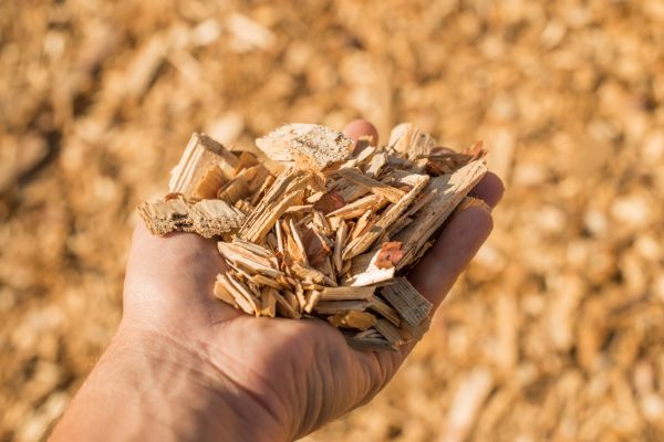 Wood Chips Spreading in Carmel
