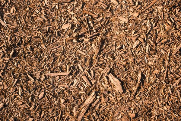 Wood Chips Removal in Carmel