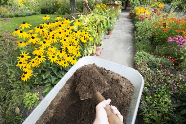 Topsoil Replacement in Carmel