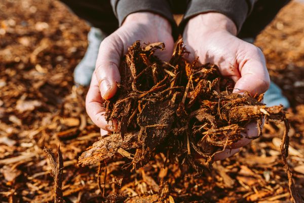 Bark Chips Delivery in Carmel