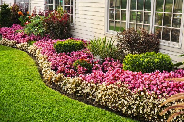 House Landscaping in Carmel