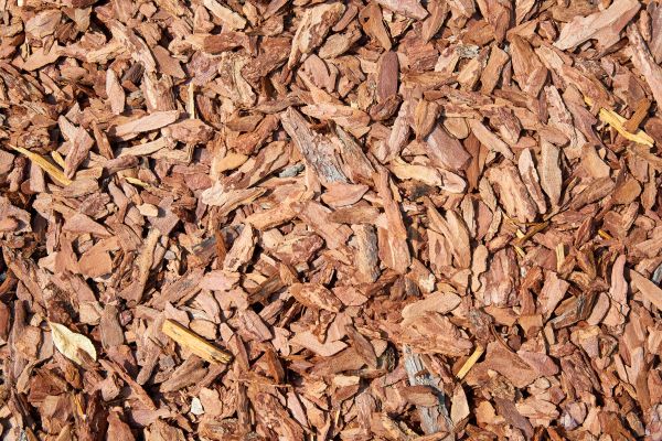 Pine Mulch Spreading in Carmel