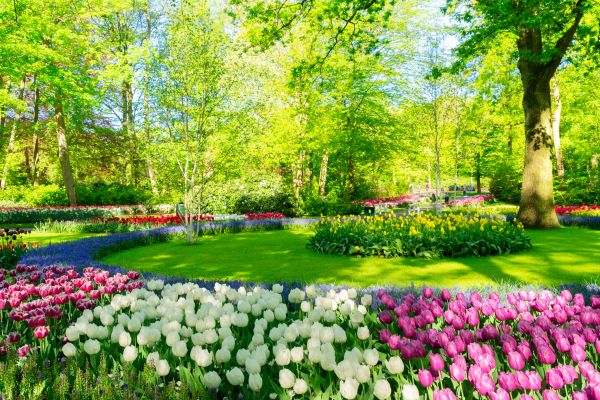 Flower Landscaping in Carmel