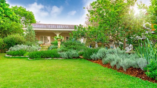 Greenery Planting in Carmel