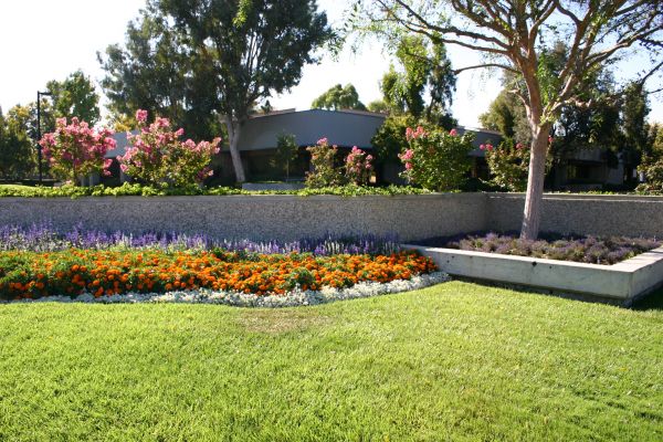 Commercial Landscape Service in Carmel