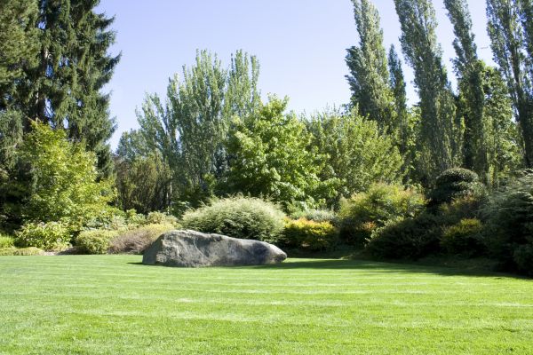 Yard Enlargement in Carmel