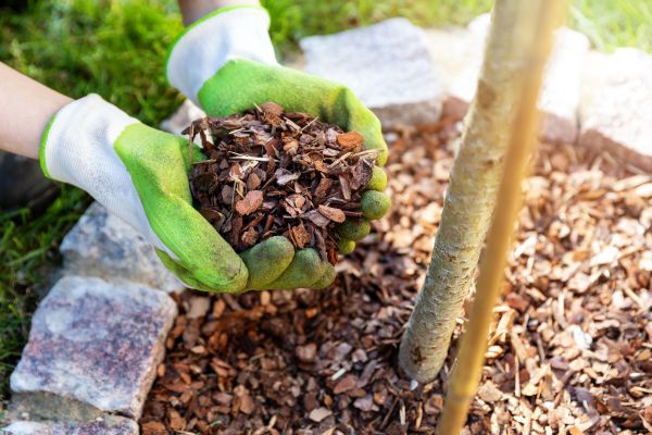 Tree Bark Delivery in Carmel