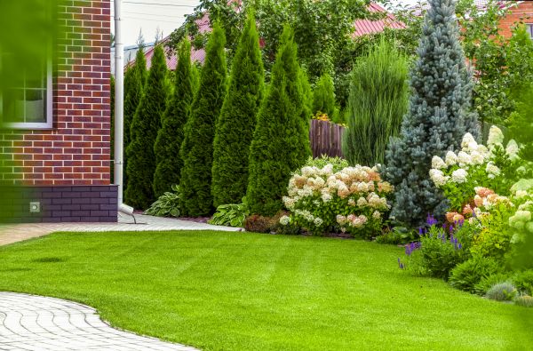 Spring Landscaping in Carmel