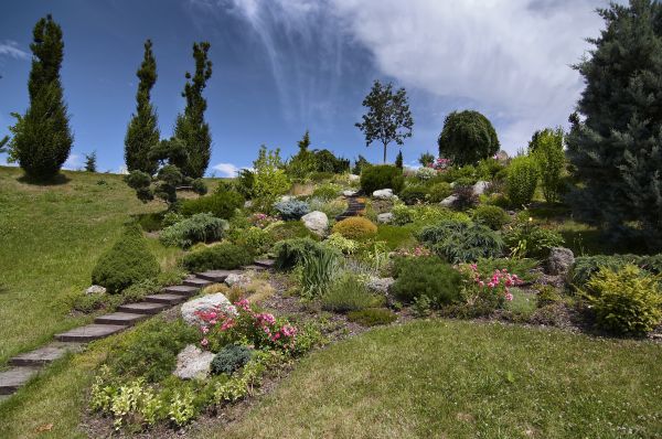 Steep Terrain Landscaping in Carmel