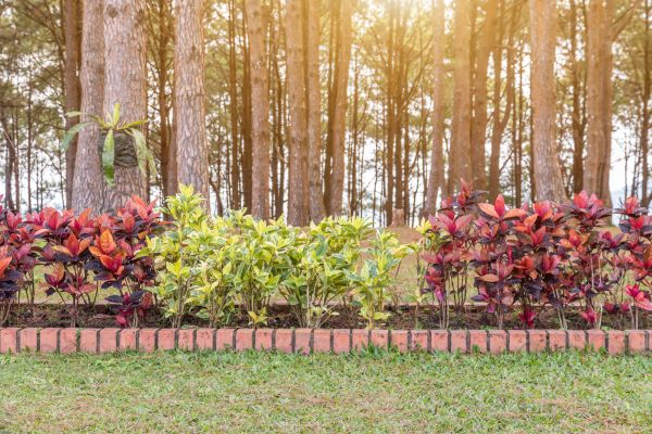 Small Garden Landscaping in Carmel