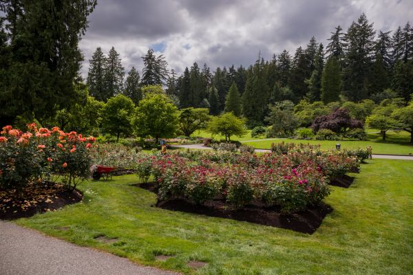 Flower Garden Landscaping in Carmel