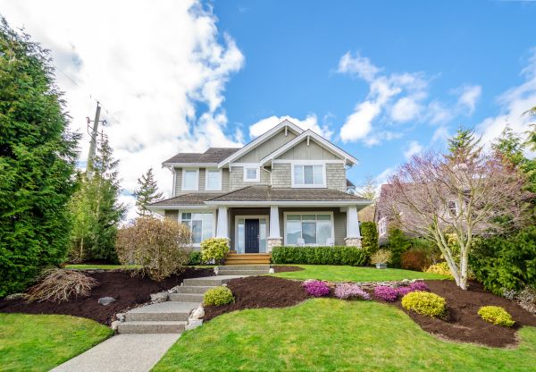 Landscaping Replacement in Carmel