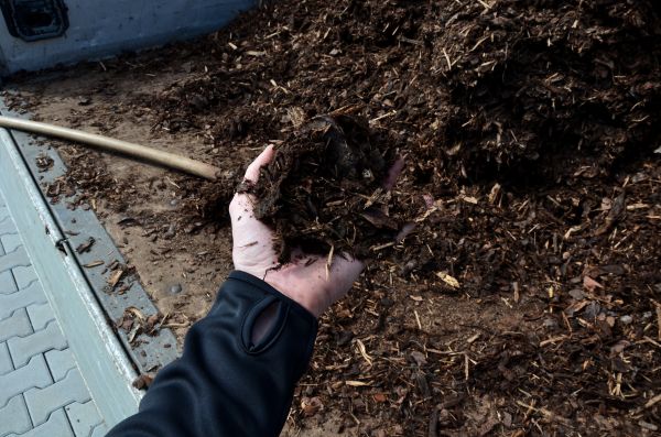 Condo Mulching in Carmel