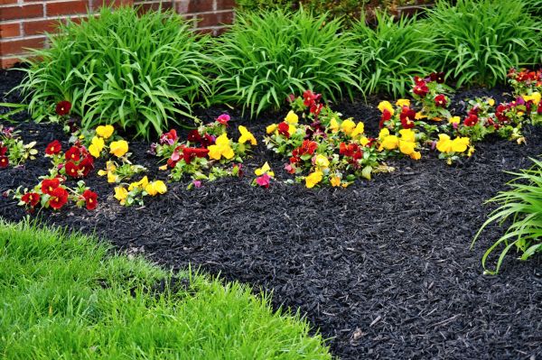 Apartment Mulching in Carmel